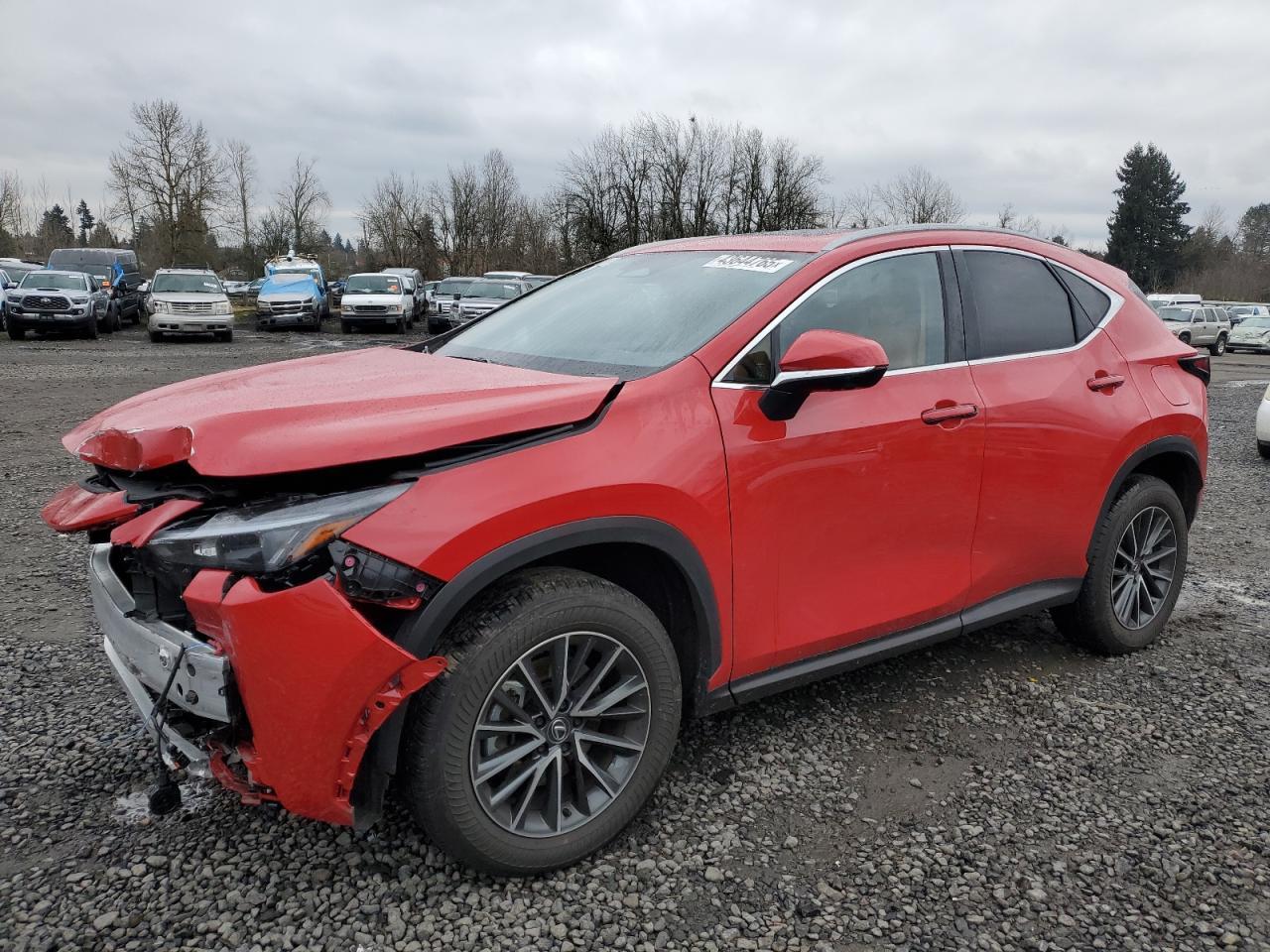 2024 LEXUS NX 350H BA