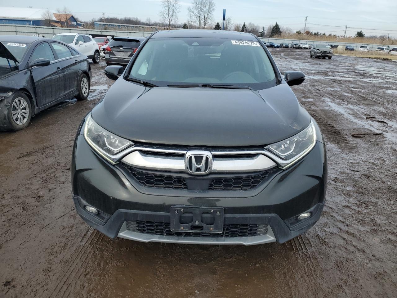 2019 HONDA CR-V EX - Фото 5
