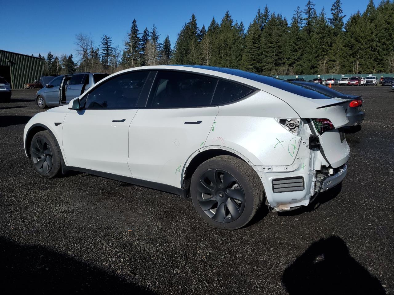 2023 TESLA MODEL Y - Фото 2