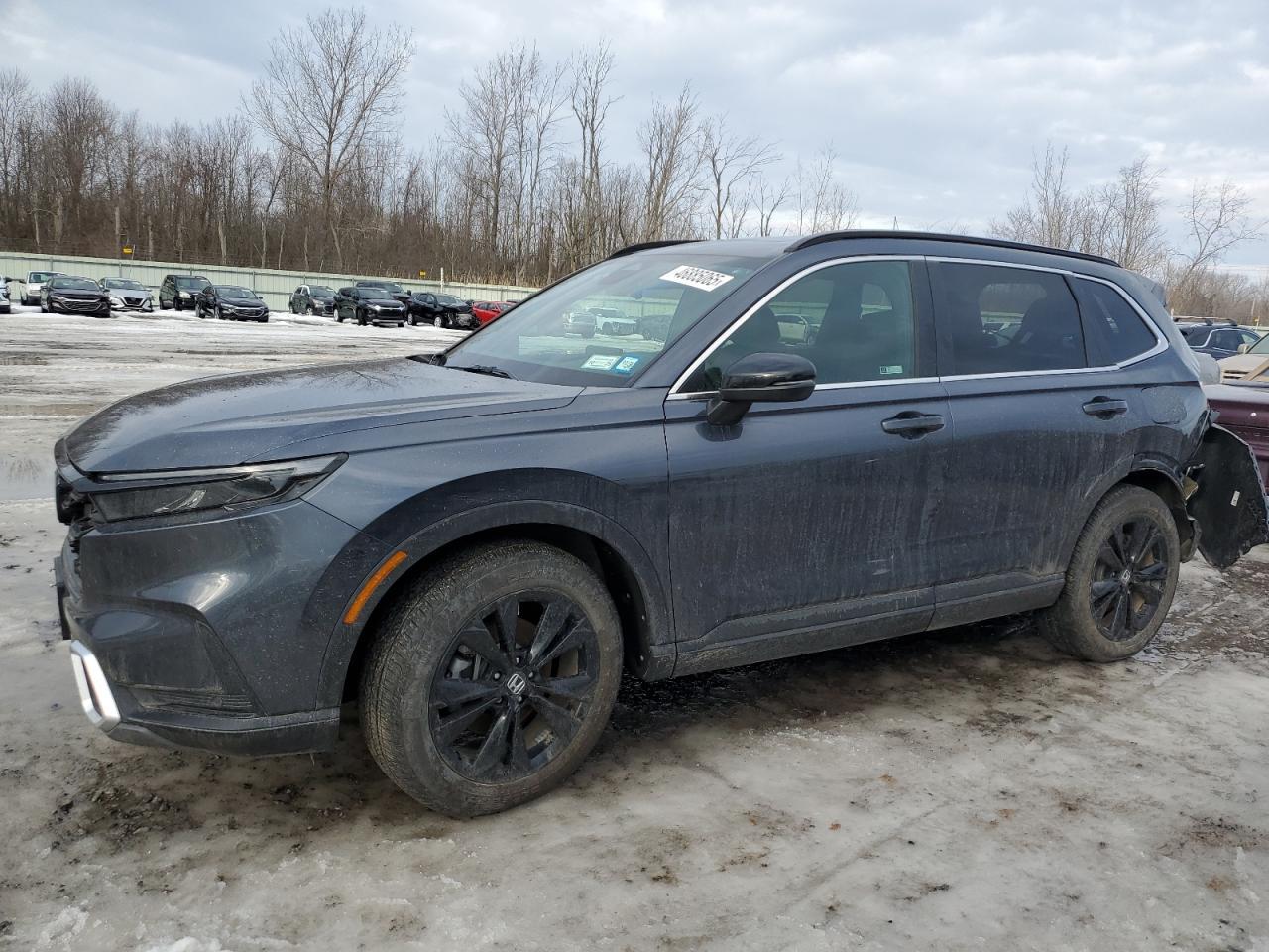 2024 HONDA CR-V SPORT
