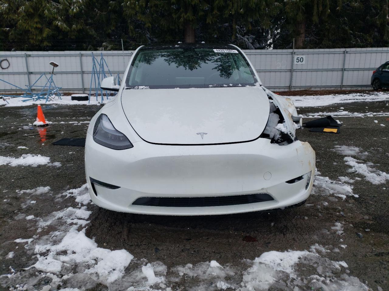 2024 TESLA MODEL Y - Image 5