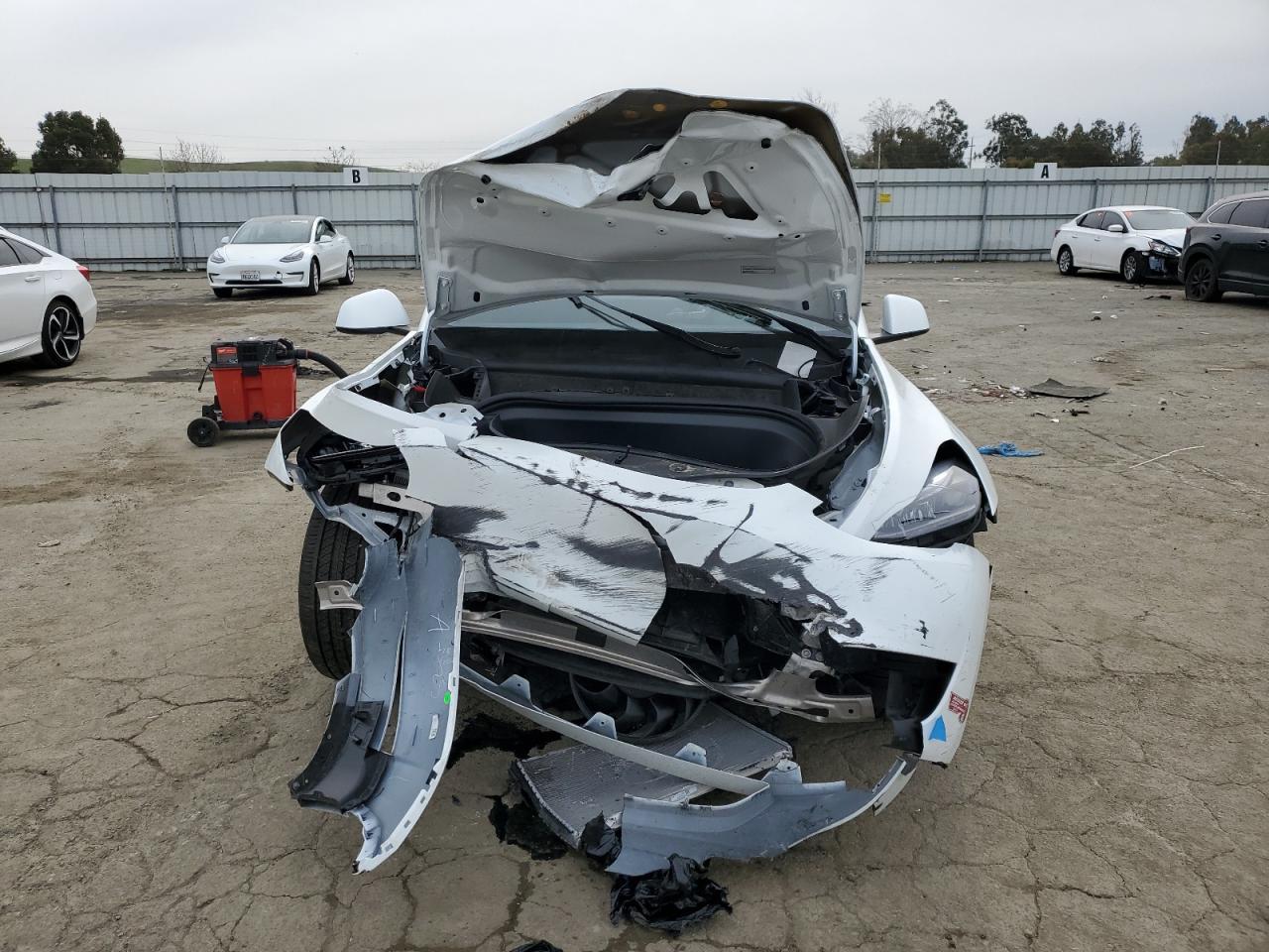 2024 TESLA MODEL Y - Image 5