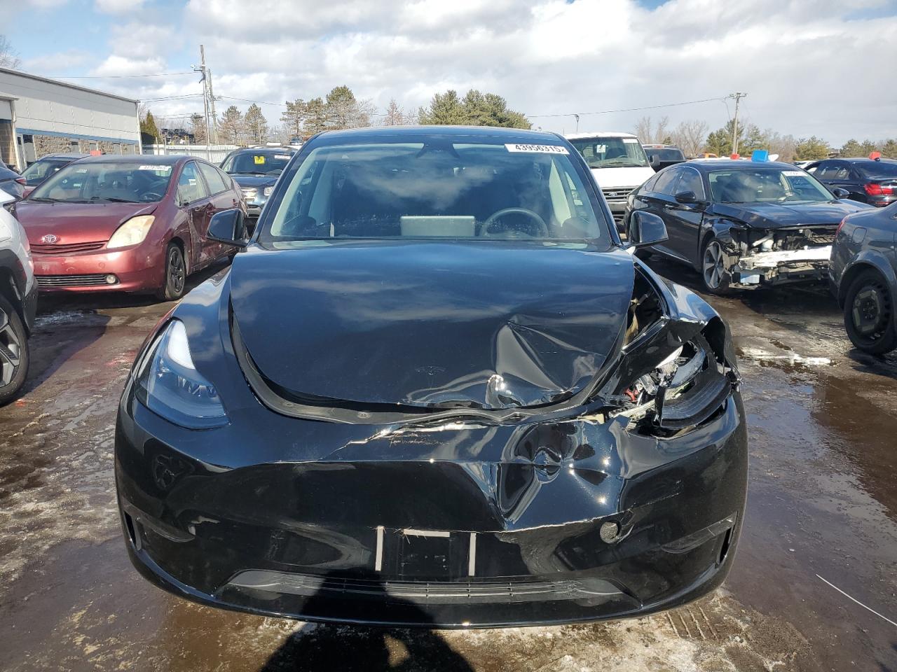 2024 TESLA MODEL Y - Image 5