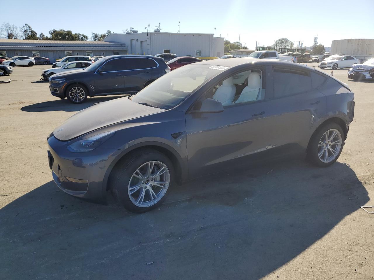 2024 TESLA MODEL Y