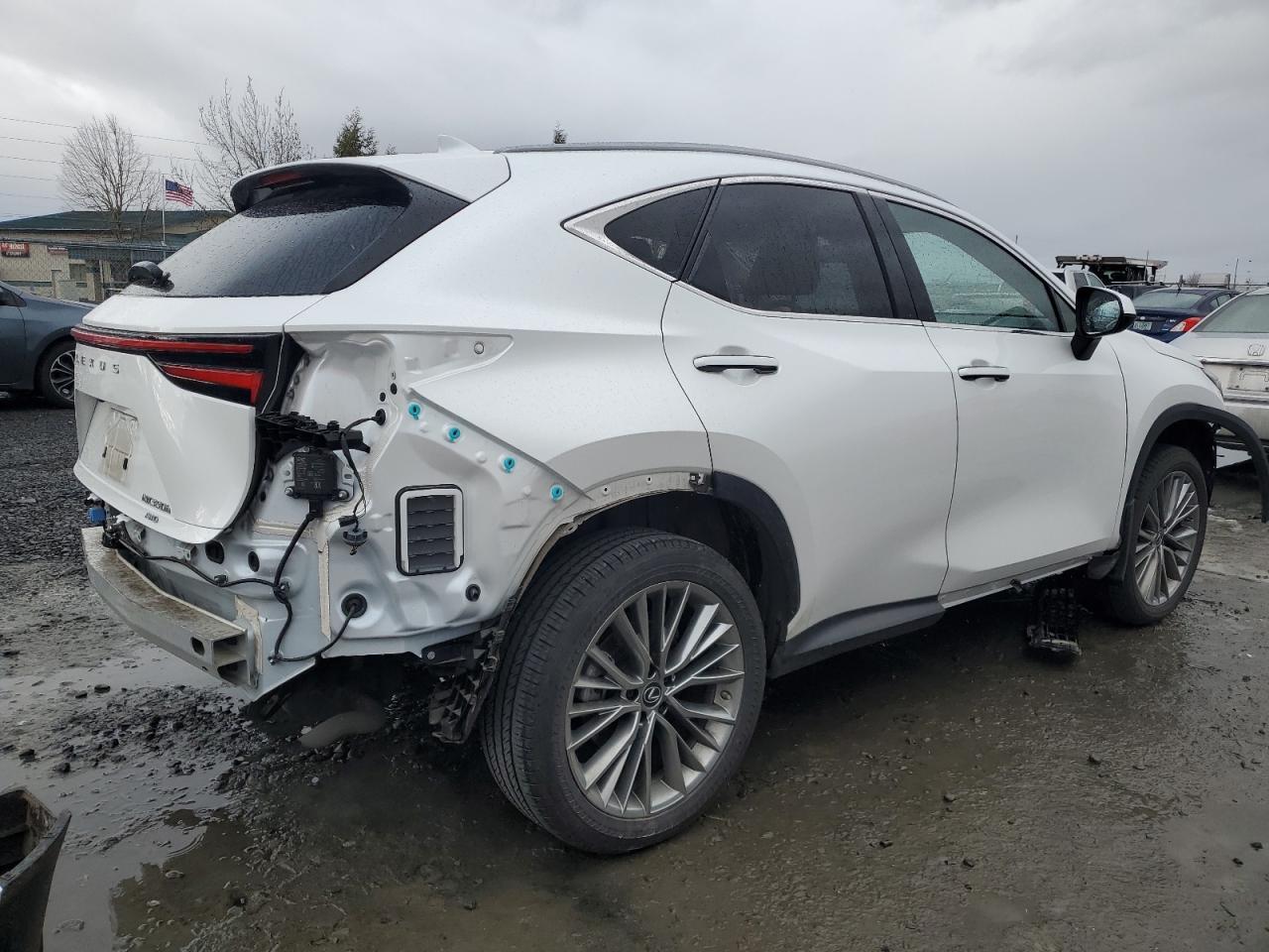 2023 LEXUS NX 350H - Image 3
