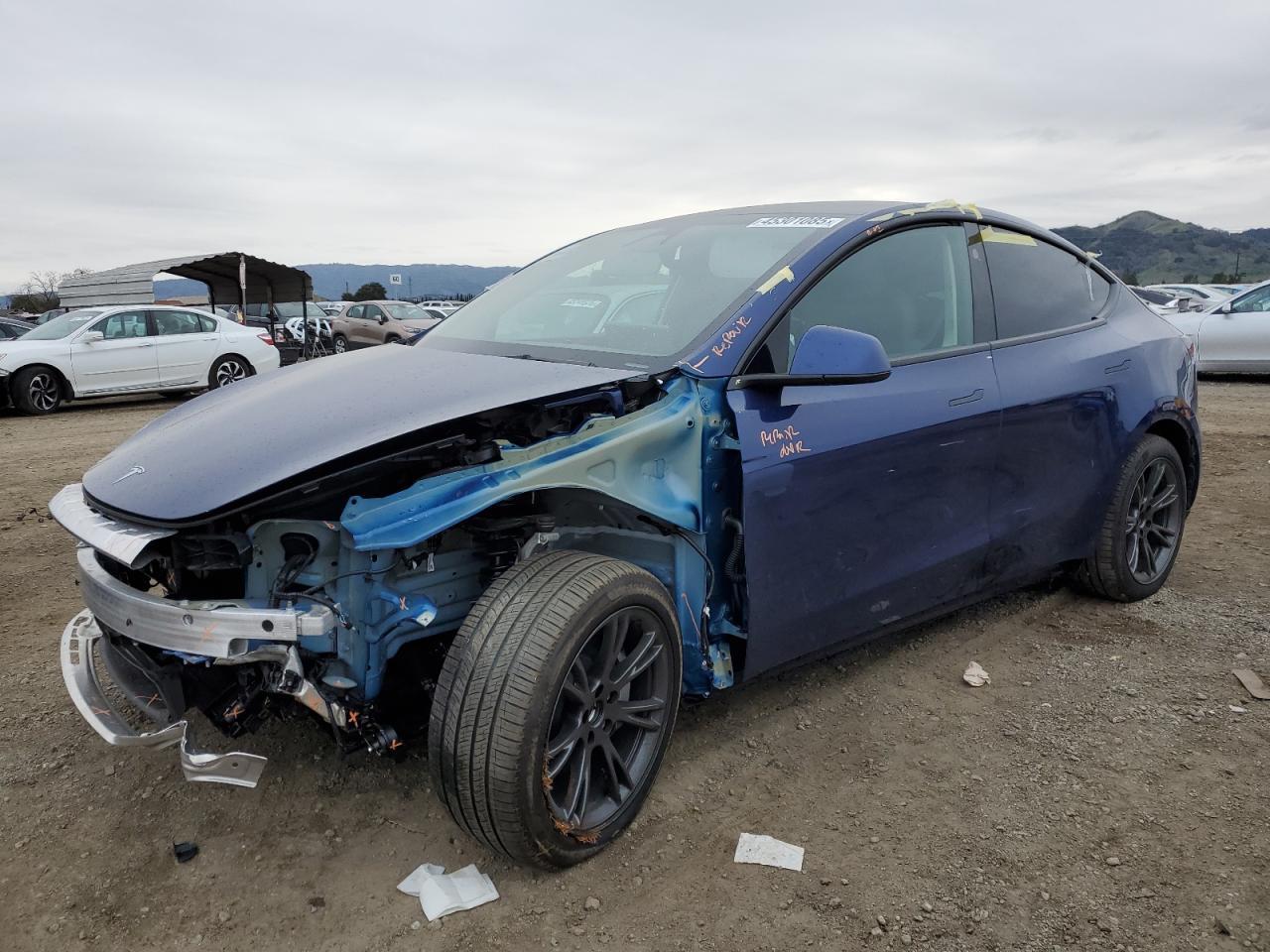 2024 TESLA MODEL Y