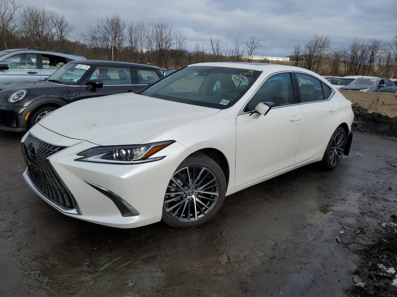 2024 LEXUS ES 350 BAS