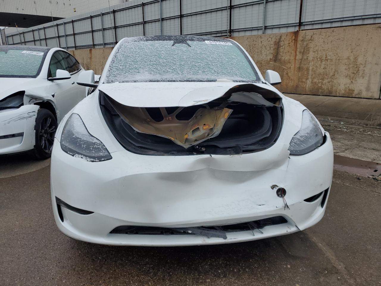 2023 TESLA MODEL Y - Фото 5