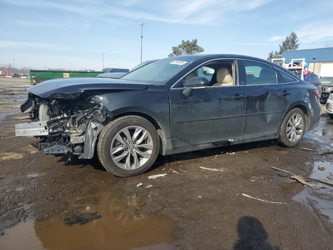 2019 TOYOTA AVALON XLE