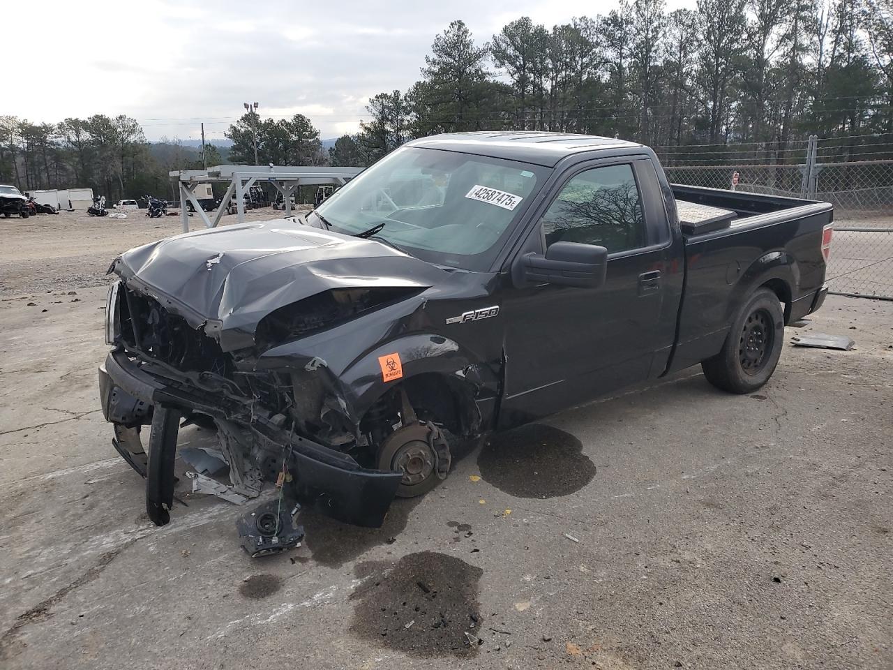 2010 FORD F150