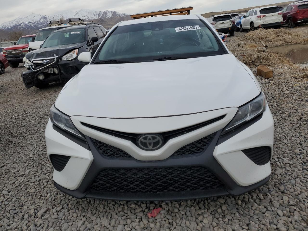 2019 TOYOTA CAMRY L - Image 5