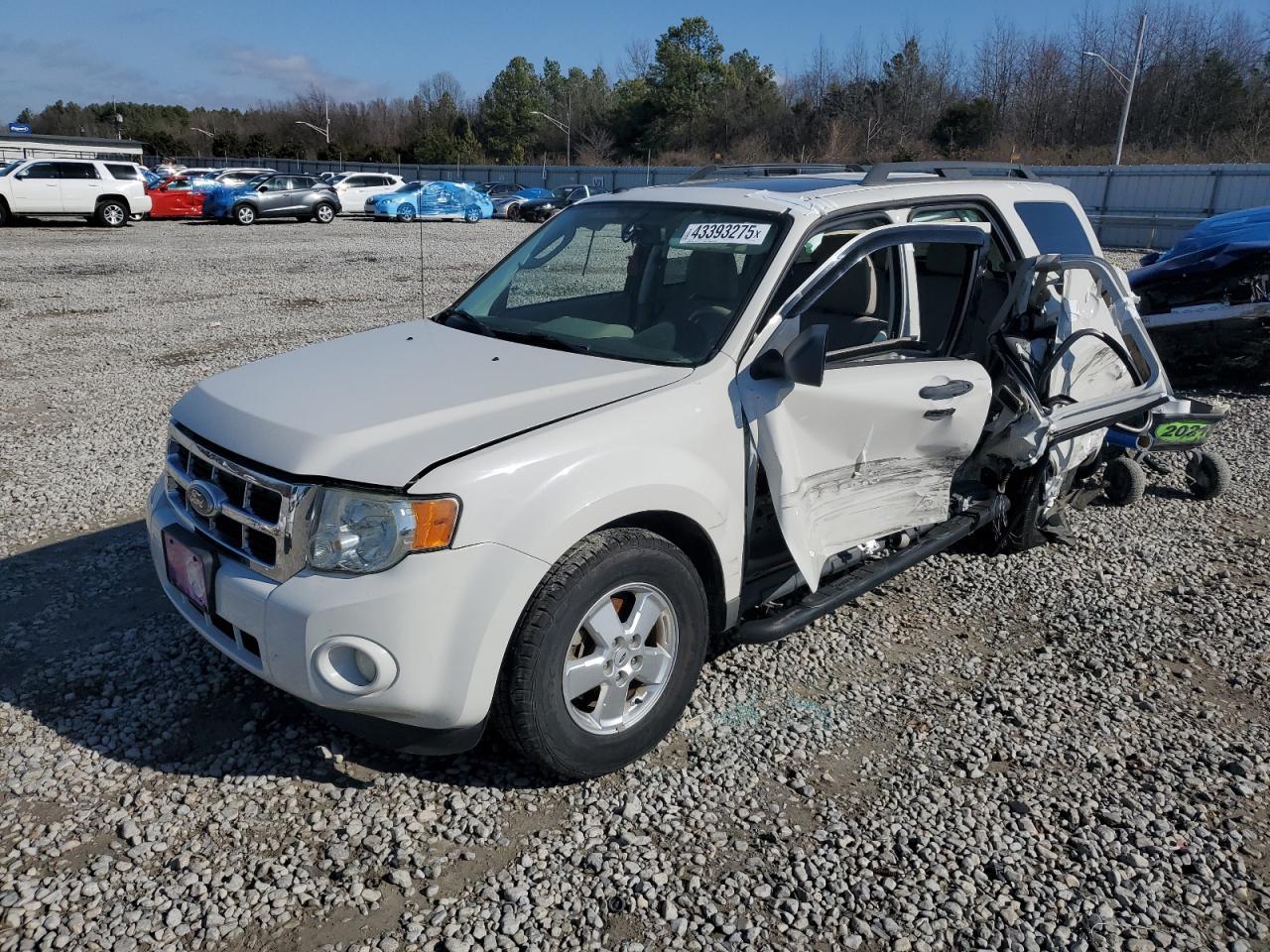 2010 FORD ESCAPE XLT