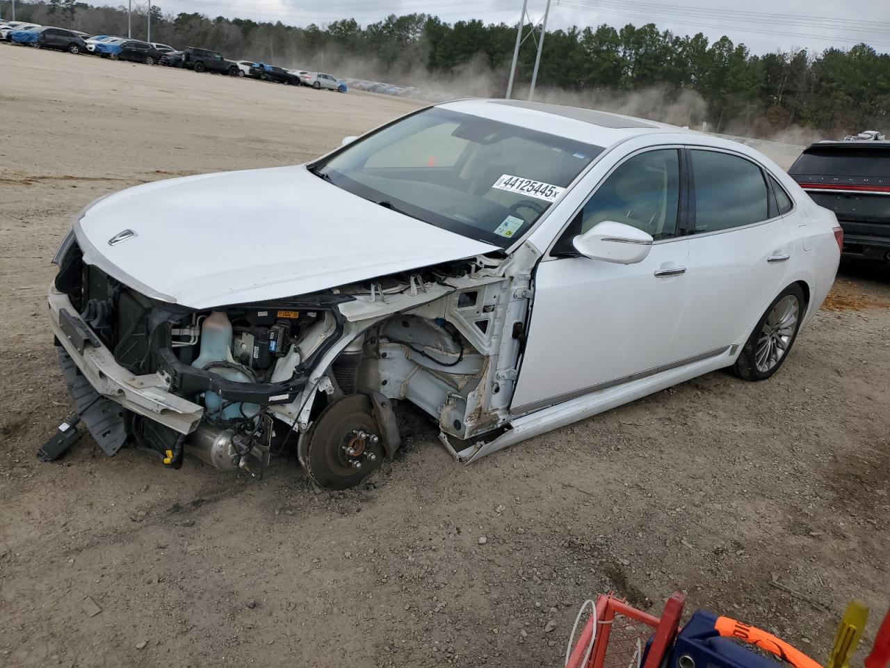 2014 HYUNDAI EQUUS SIGN