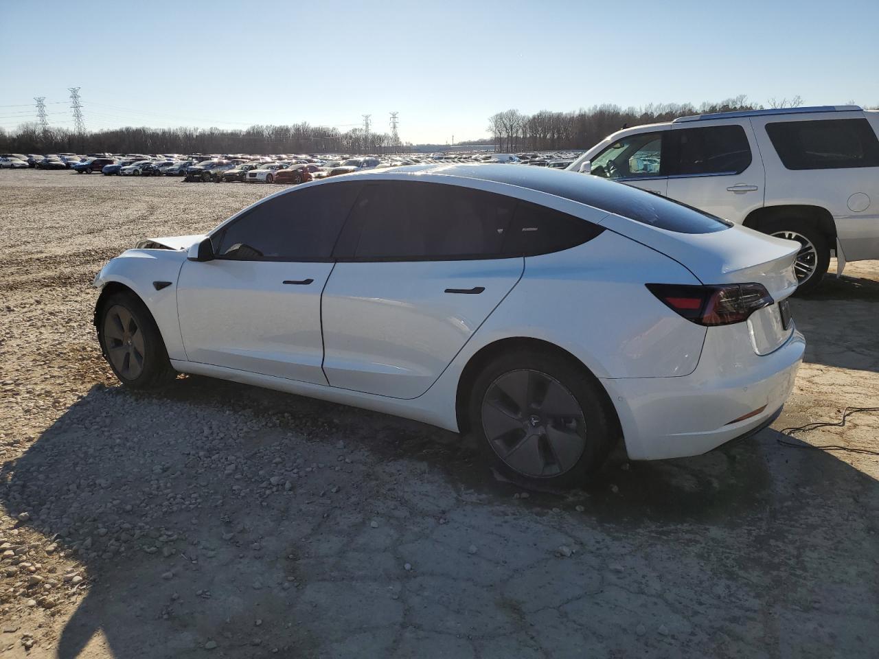 2022 TESLA MODEL 3 - Image 2