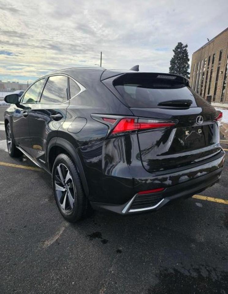 2020 LEXUS NX 300H - Image 3