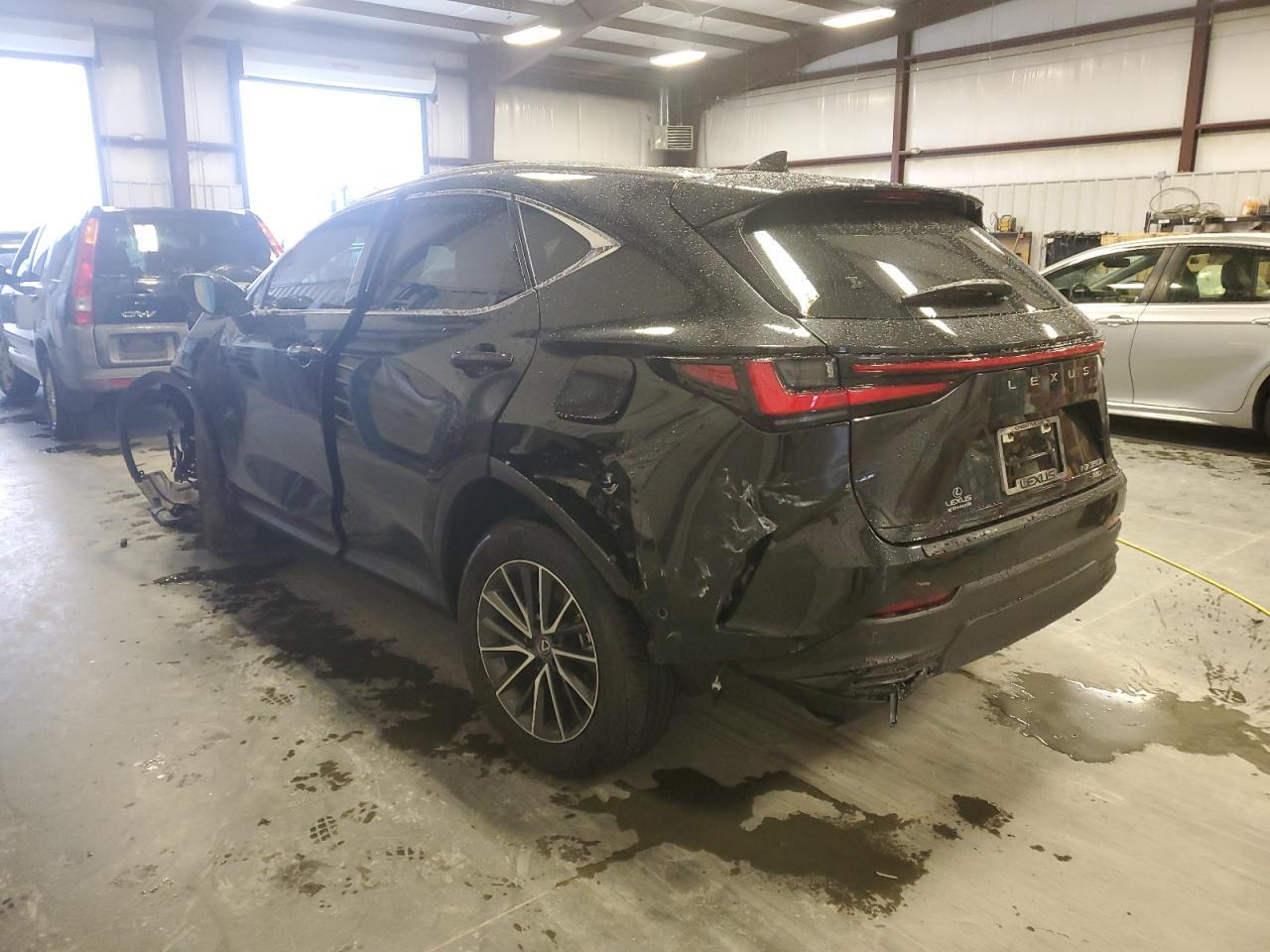 2024 LEXUS NX 350H BA - Image 2