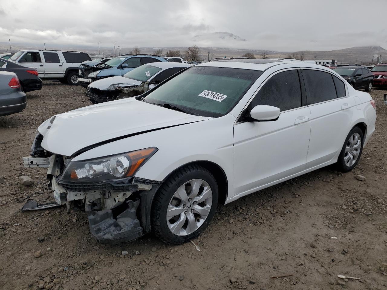 2010 HONDA ACCORD EXL