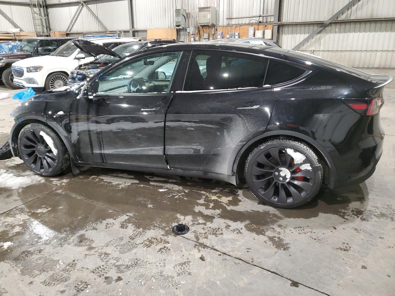 2023 TESLA MODEL Y - Фото 2