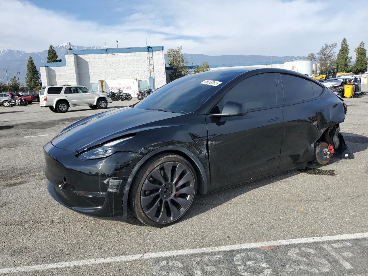 2024 TESLA MODEL Y
