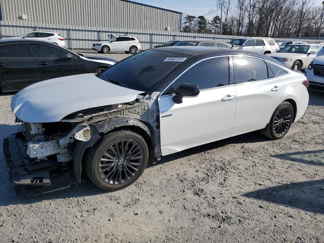 2019 TOYOTA AVALON XLE