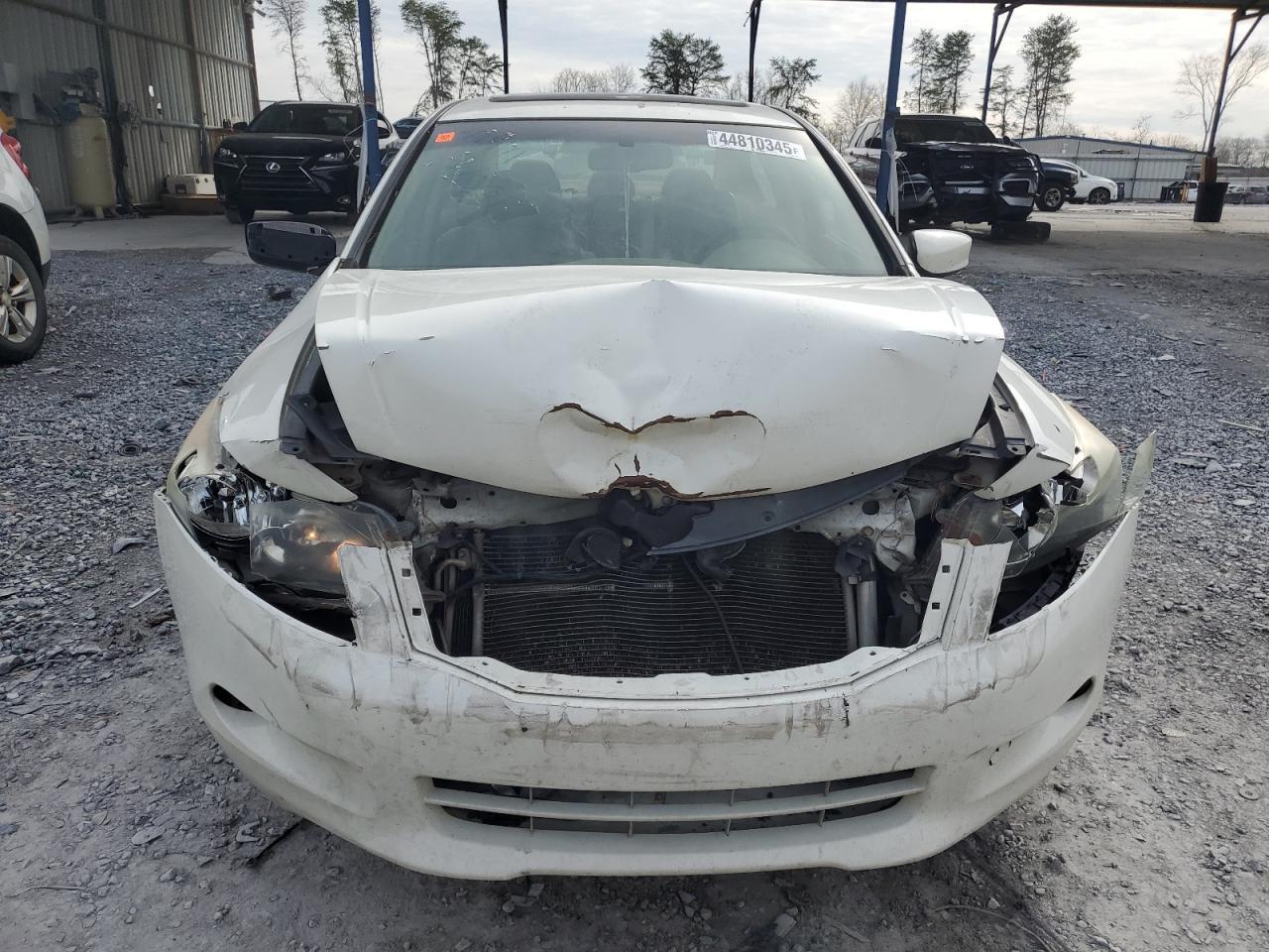 2010 HONDA ACCORD EXL - Image 5