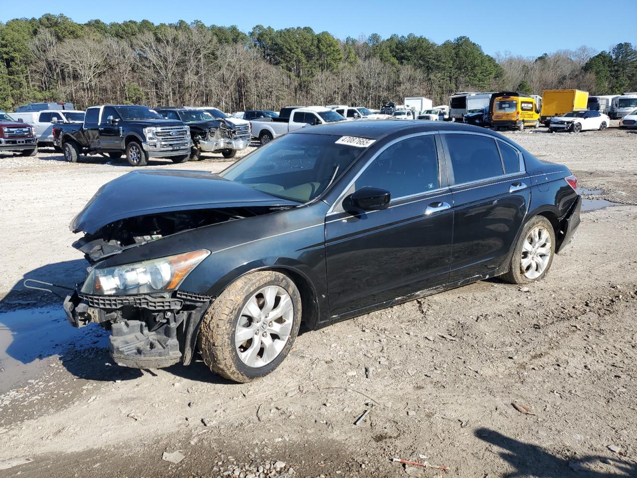 2010 HONDA ACCORD EXL