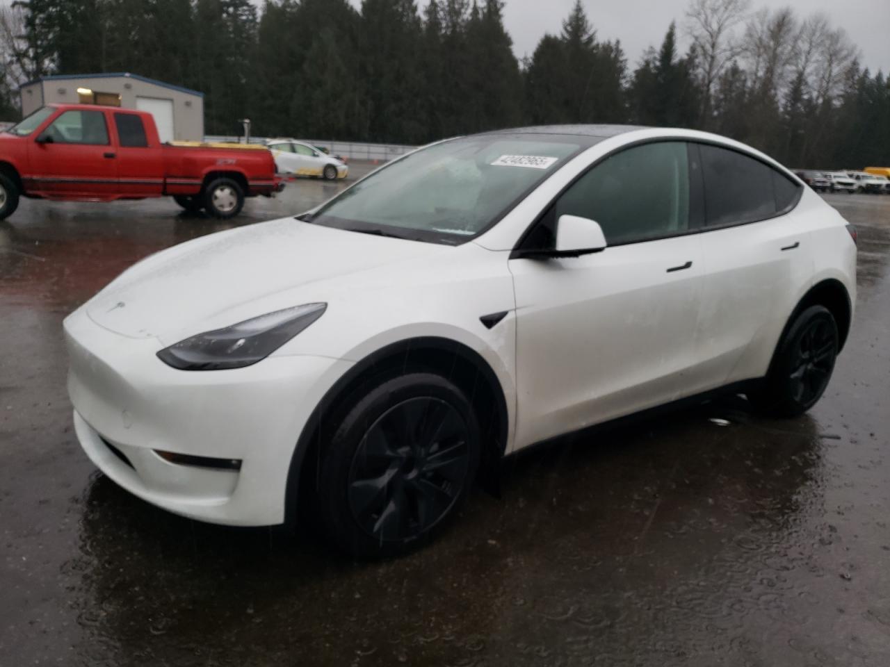 2024 TESLA MODEL Y
