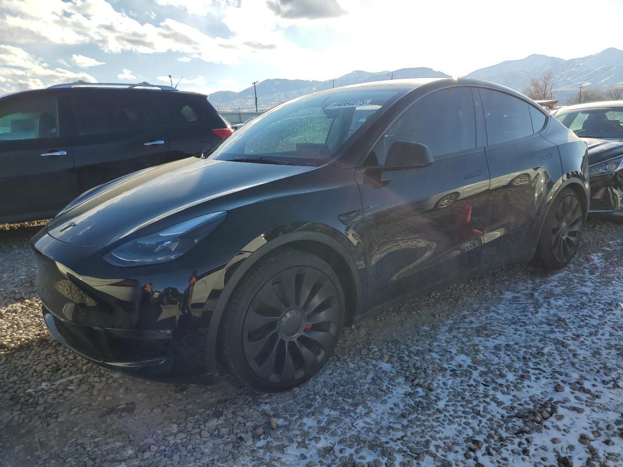 2025 TESLA MODEL Y