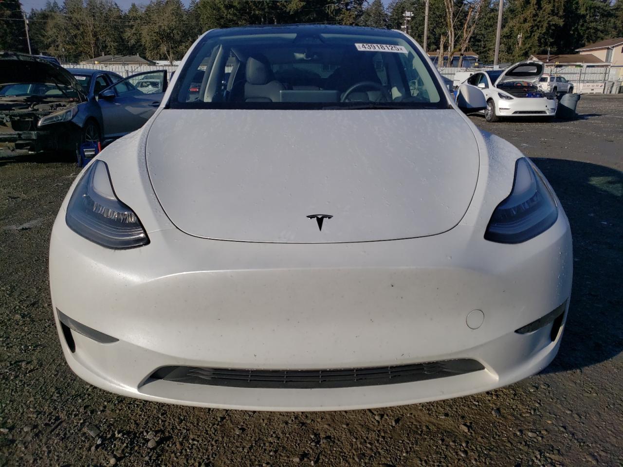 2023 TESLA MODEL Y - Фото 5
