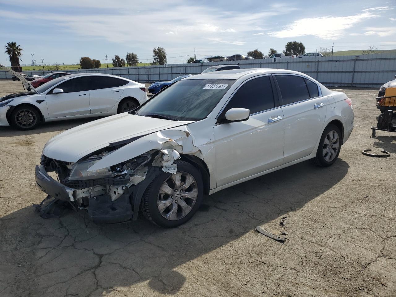 2010 HONDA ACCORD EXL
