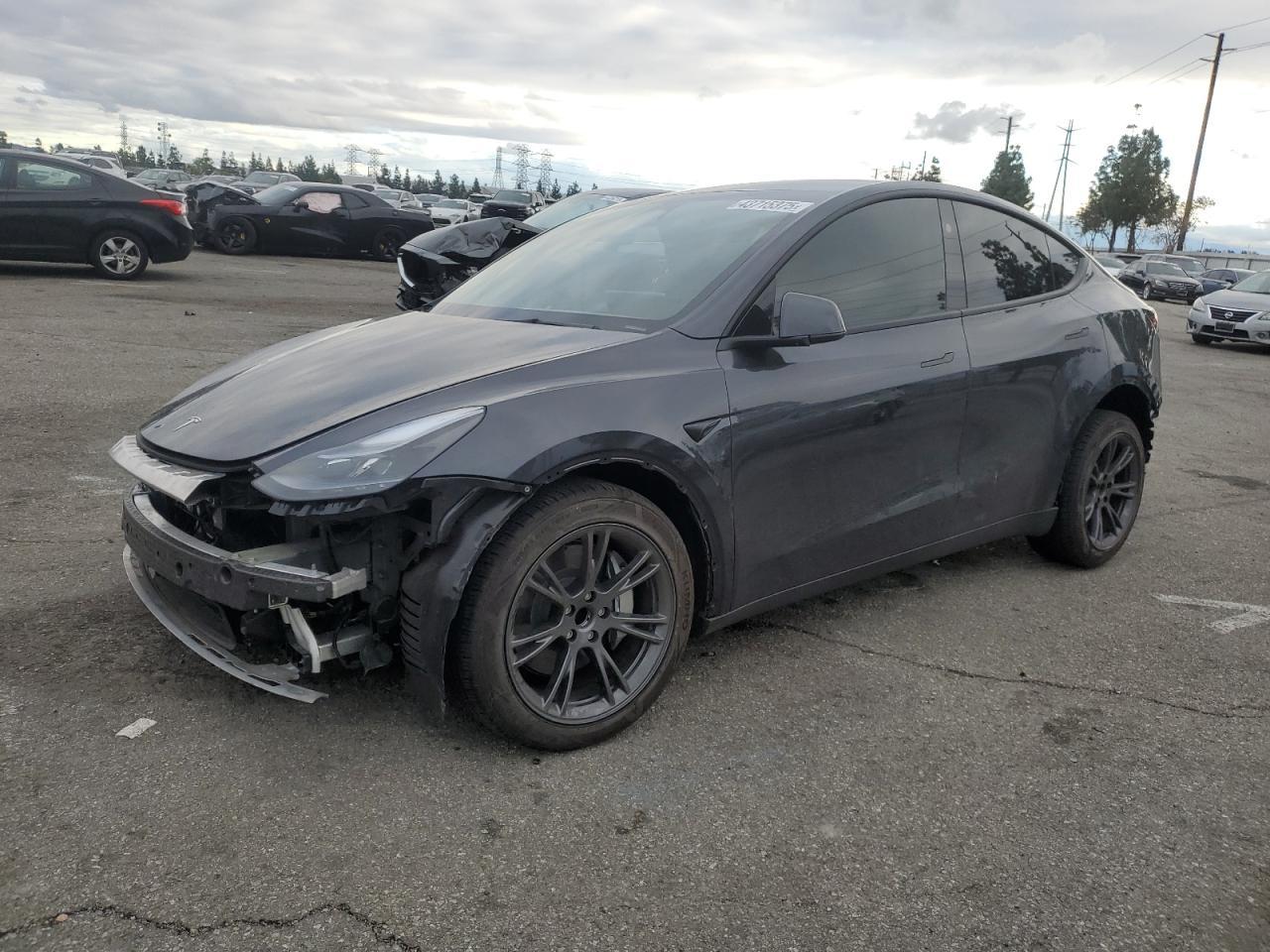 2024 TESLA MODEL Y