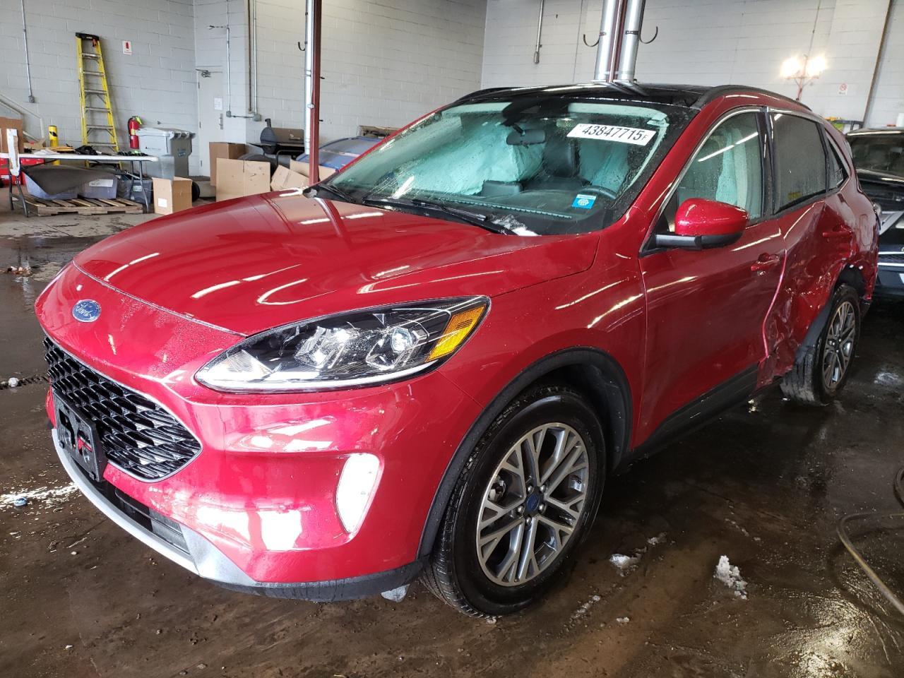 2020 FORD ESCAPE SEL