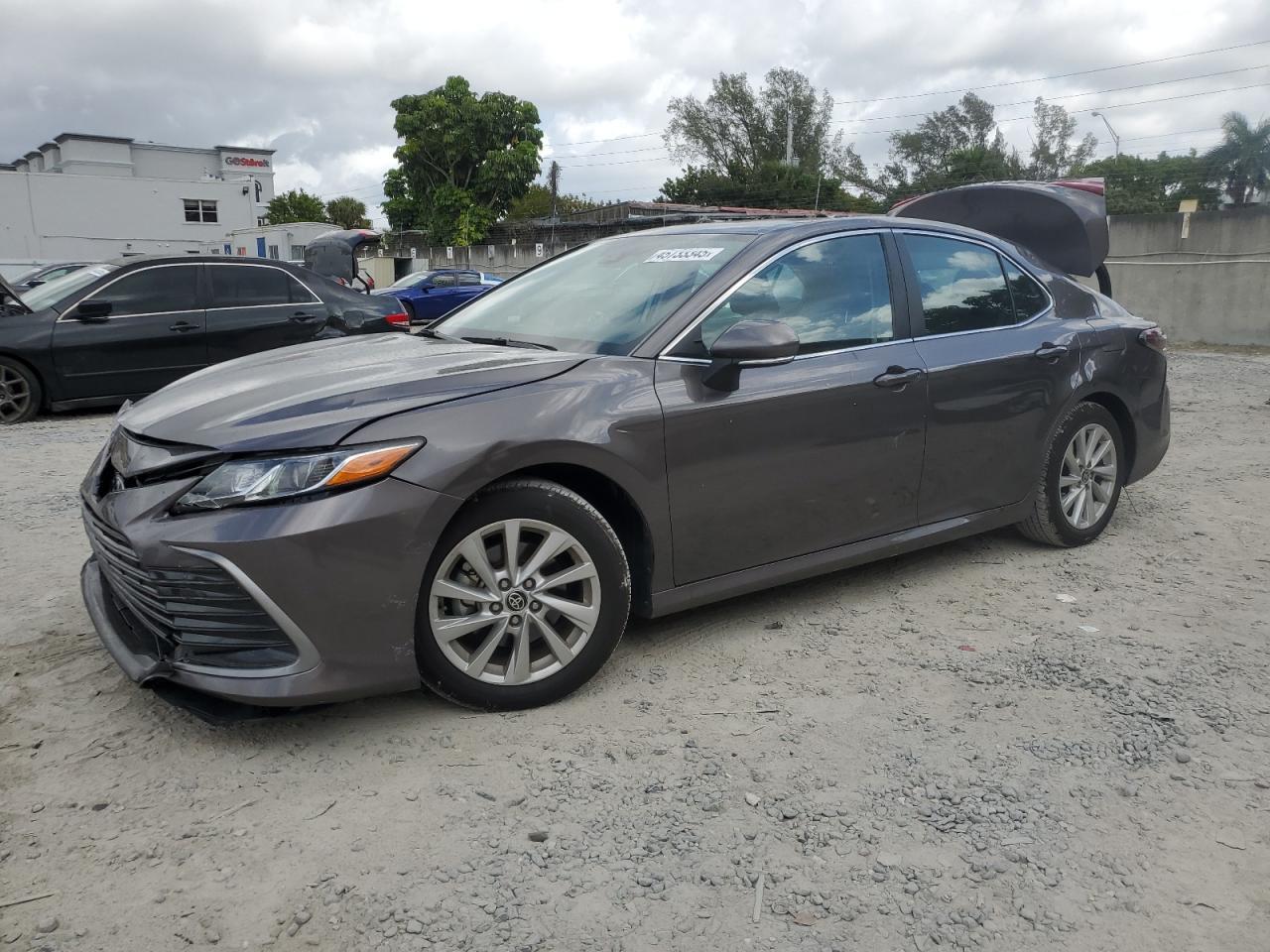 2024 TOYOTA CAMRY LE