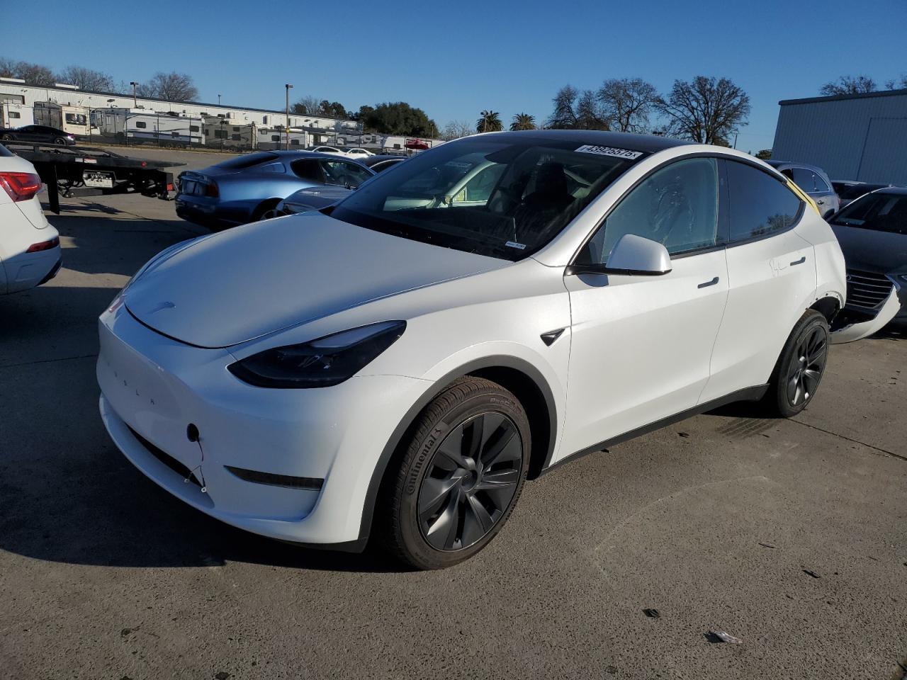 2025 TESLA MODEL Y