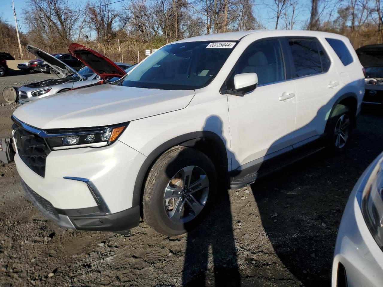 2024 HONDA PILOT EXL