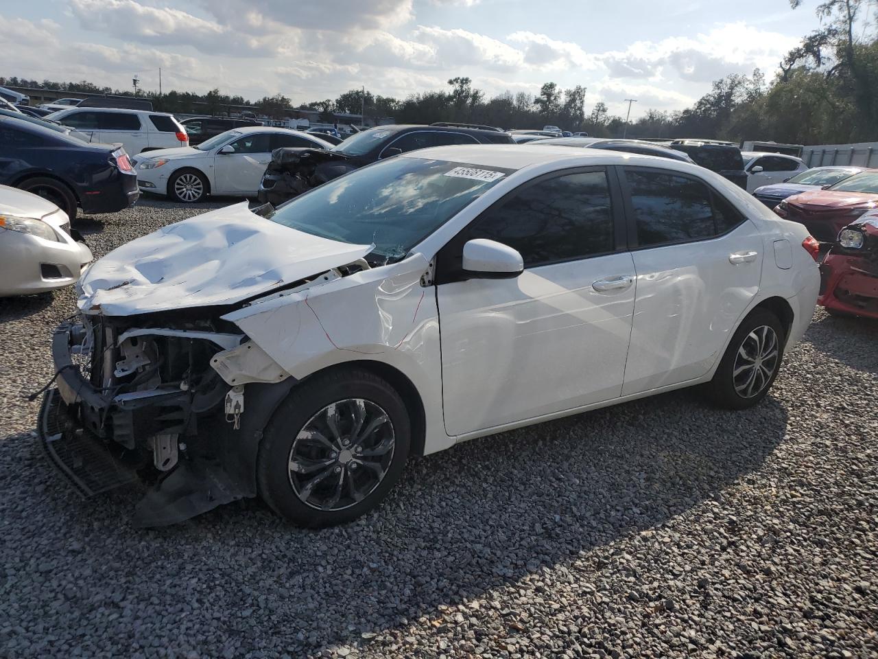 2019 TOYOTA COROLLA L