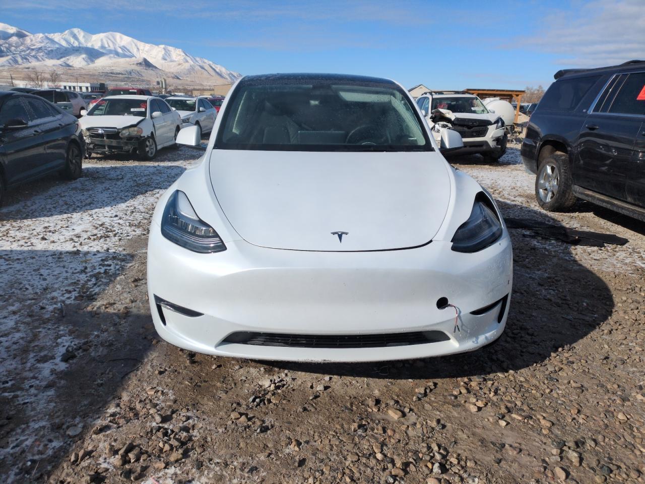 2023 TESLA MODEL Y - Фото 5