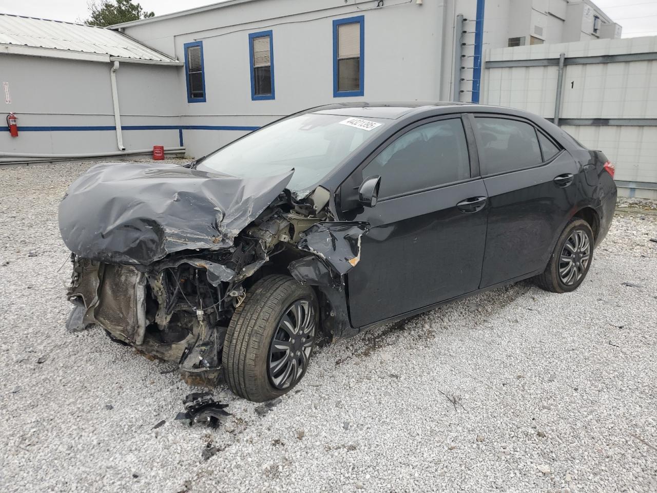 2019 TOYOTA COROLLA L