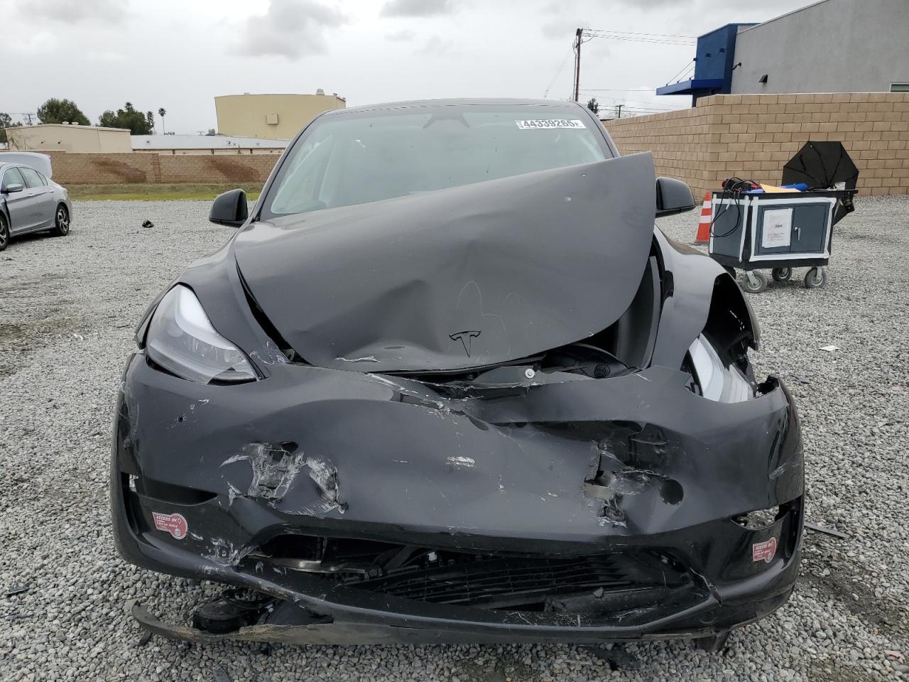 2024 TESLA MODEL Y - Image 5