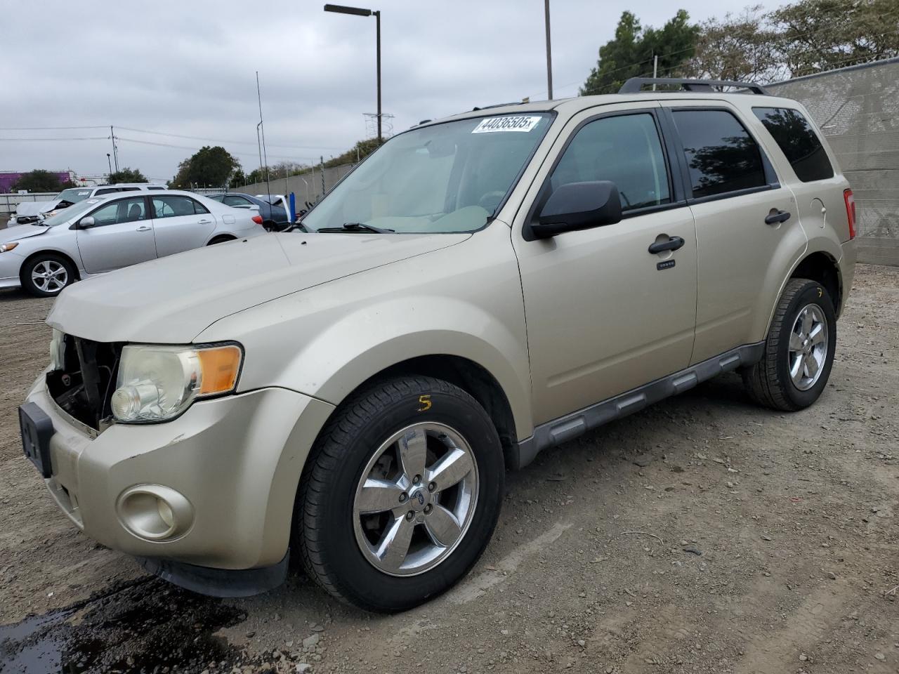 2010 FORD ESCAPE XLT