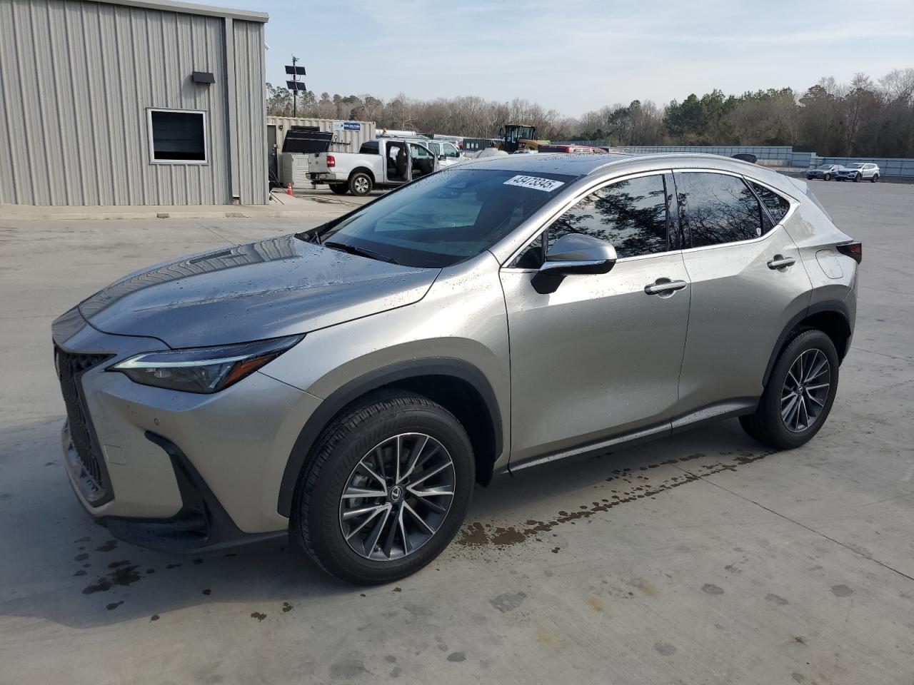 2023 LEXUS NX 350