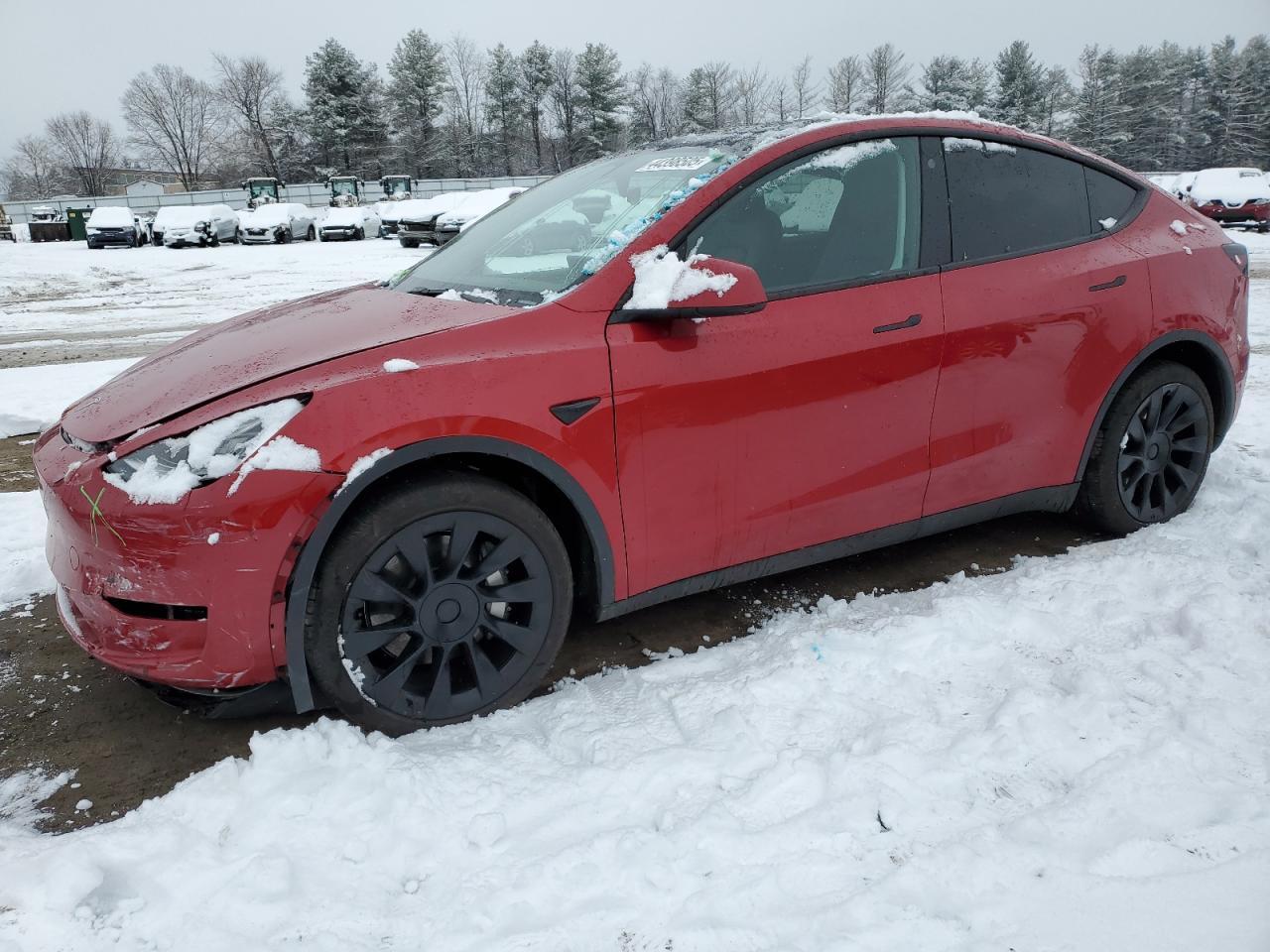 2023 TESLA MODEL Y