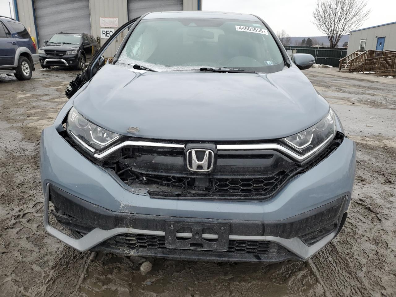 2020 HONDA CR-V EXL - Image 5