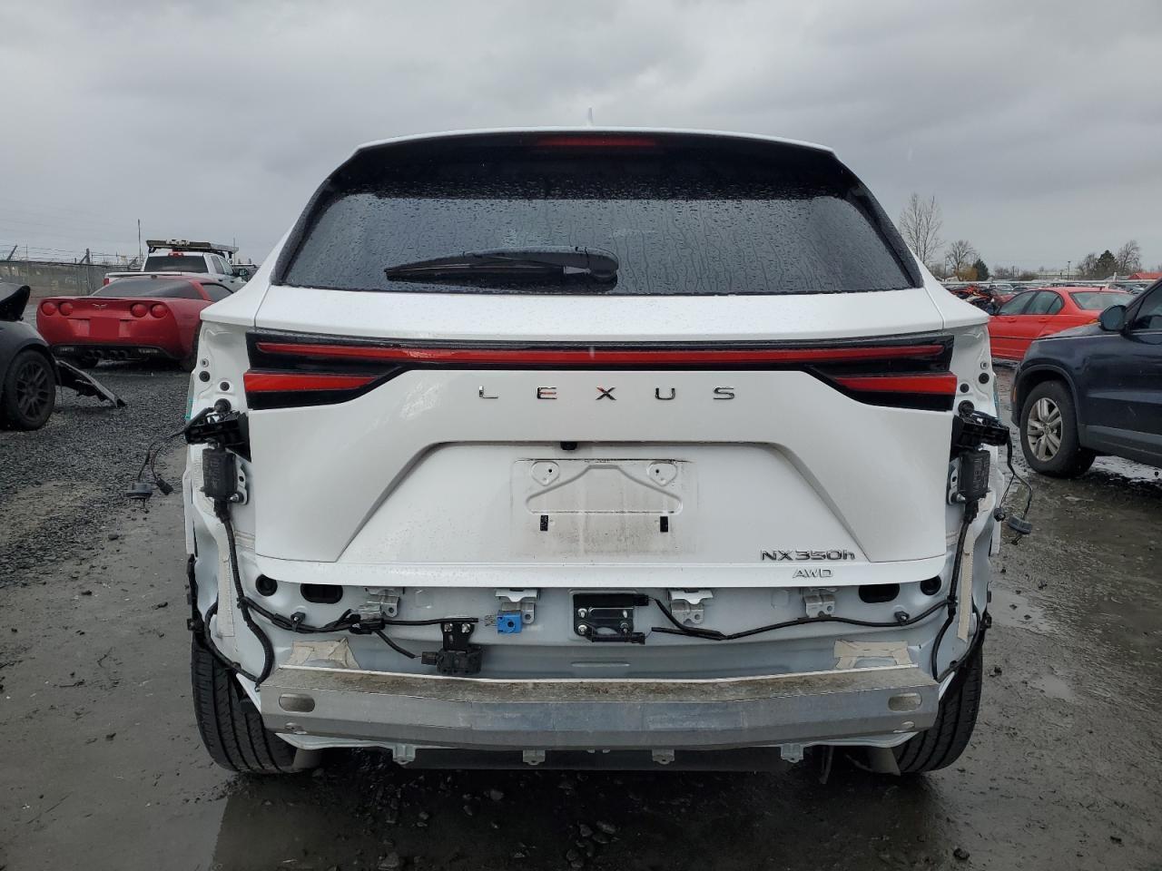 2023 LEXUS NX 350H - Image 6