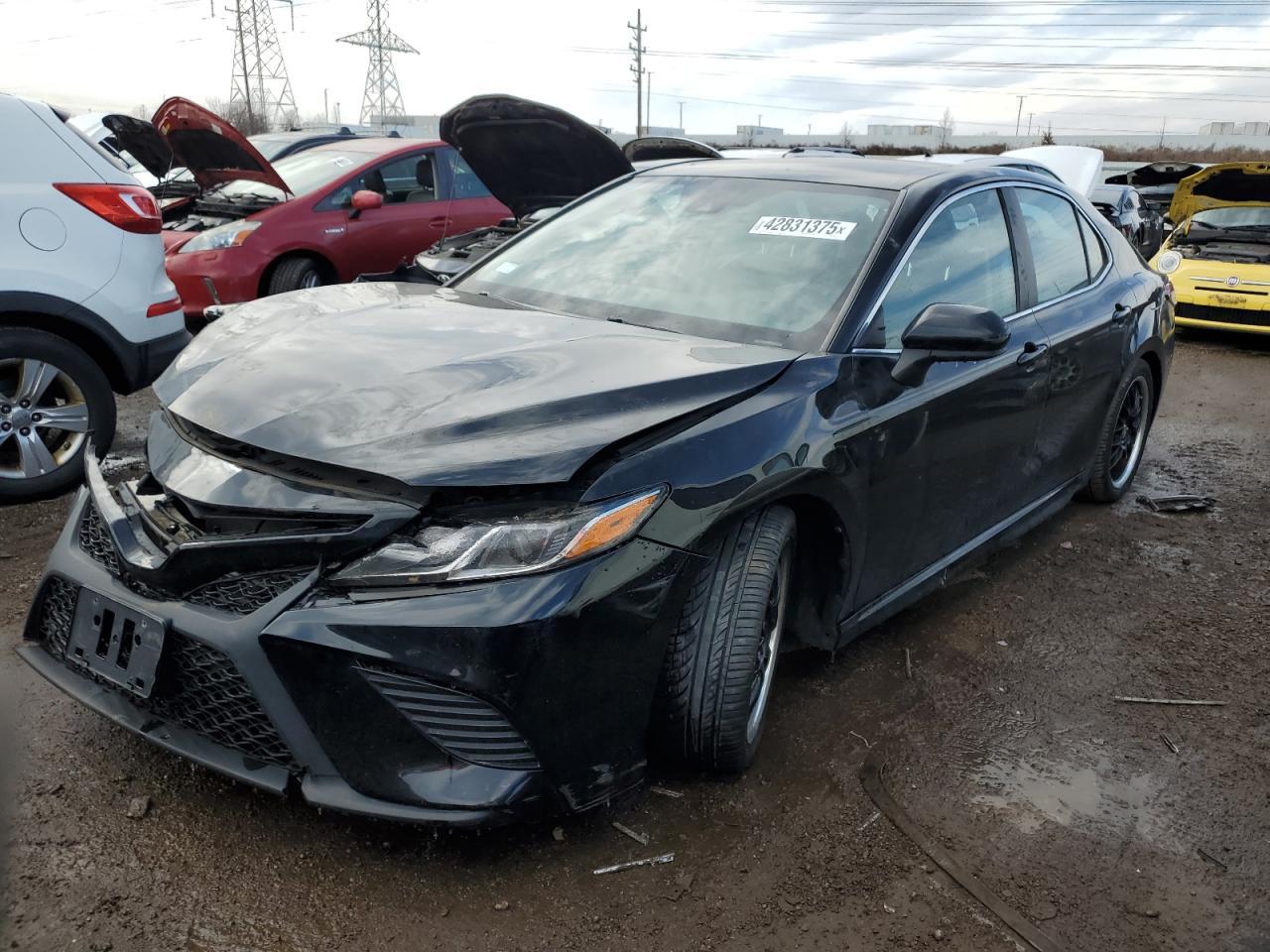 2019 TOYOTA CAMRY L