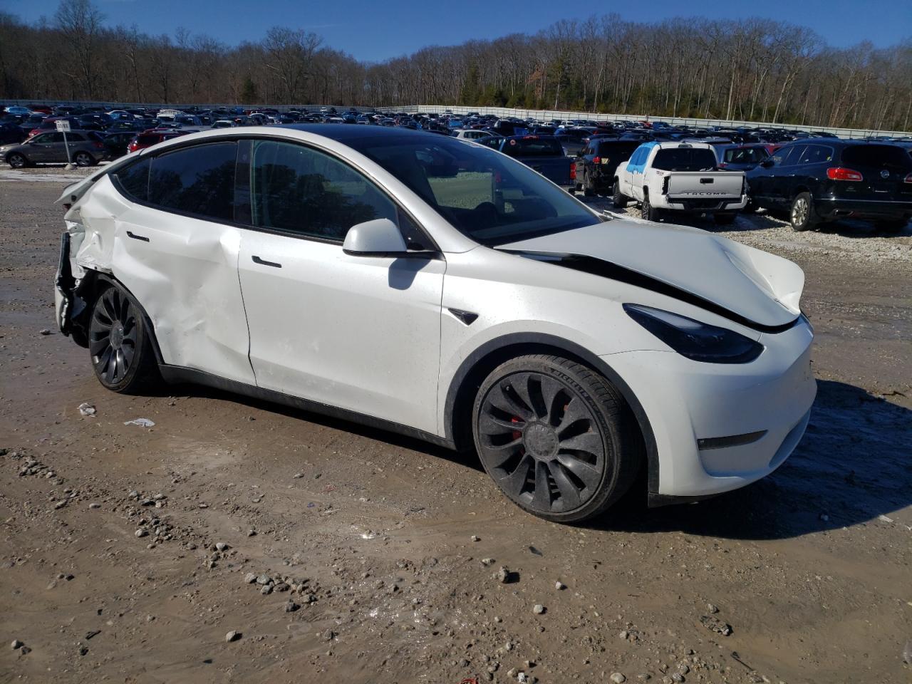 2023 TESLA MODEL Y - Image 4