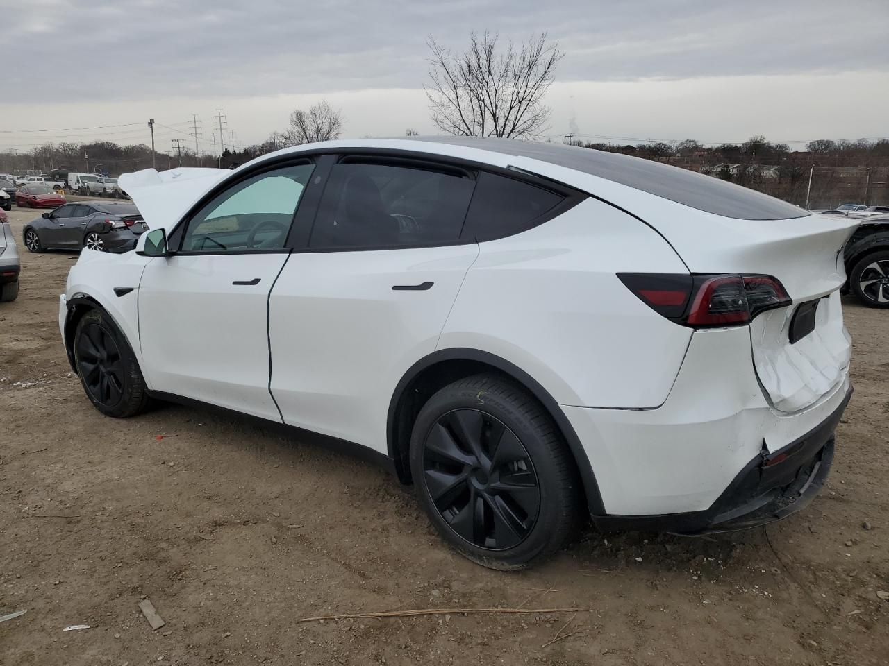 2025 TESLA MODEL Y - Image 2