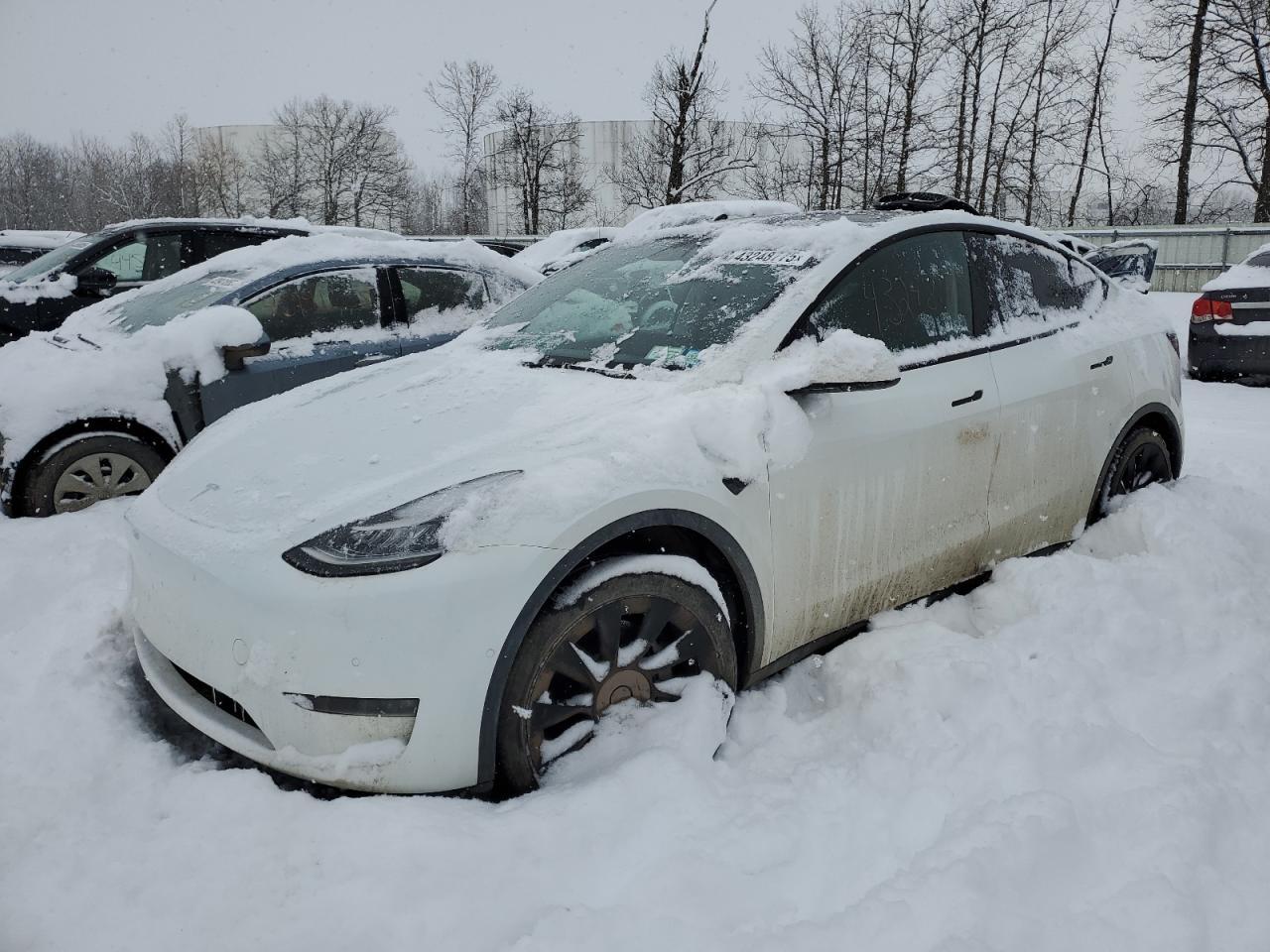 2022 TESLA MODEL Y