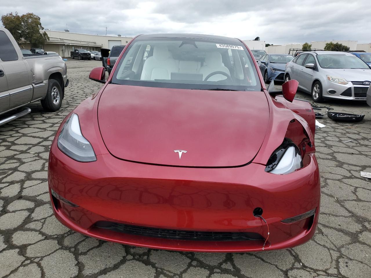 2025 TESLA MODEL Y - Image 5