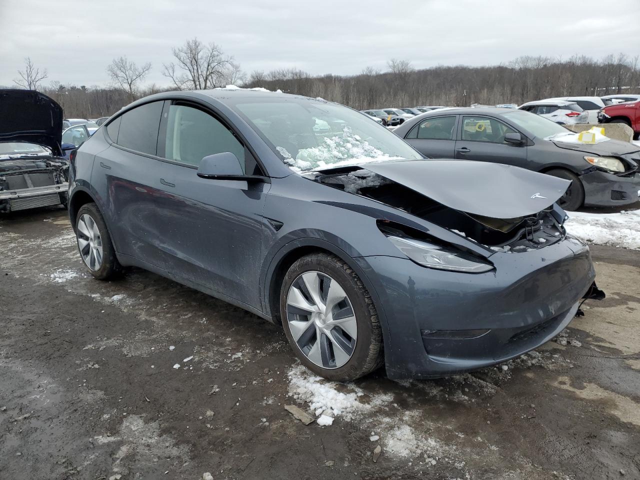 2023 TESLA MODEL Y - Фото 4